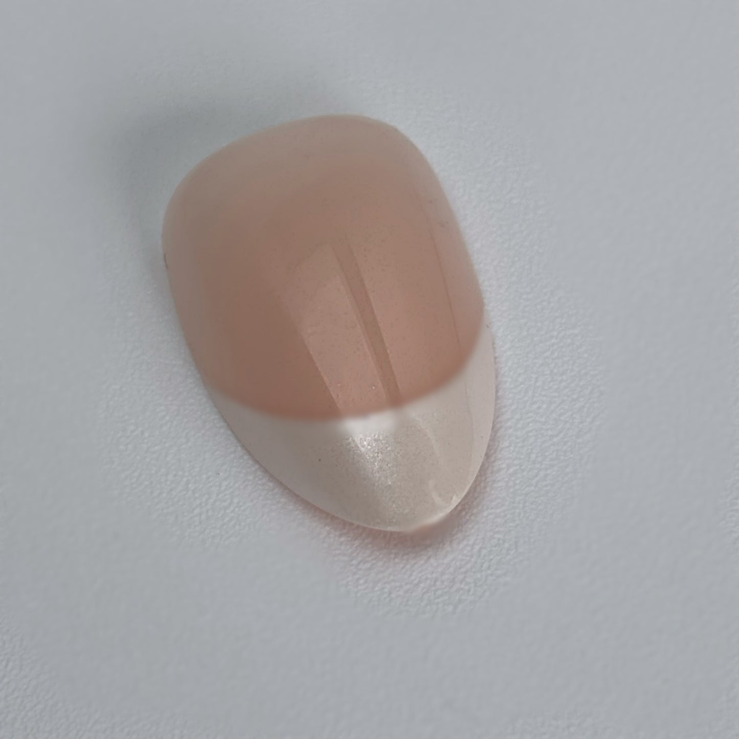 Static Nails Quiet Luxury Almond
